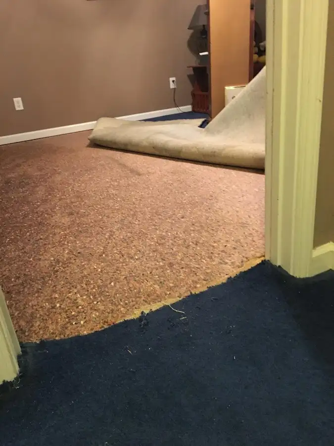Carpet pad removal revealing water damage during Drying & Dehumidification in Teaneck